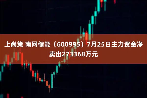 上尚策 南网储能（600995）7月25日主力资金净卖出273368万元