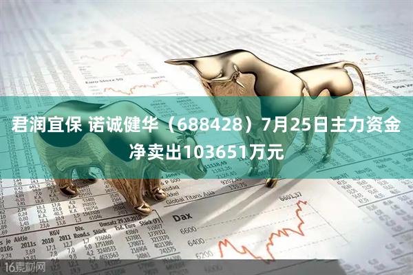 君润宜保 诺诚健华(688428)7月25日主力资金净卖出103651万元
